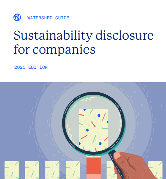 Sustainability disclosure for companies: 2025 edition