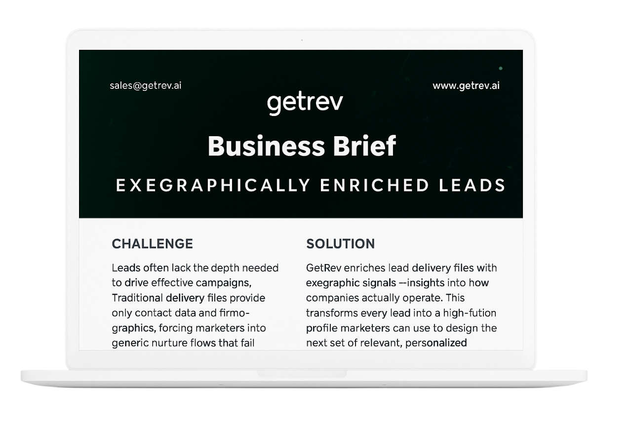 Business Brief: Exegraphically Enriched Leads